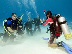 Sharm El Sheikh Dive Centre